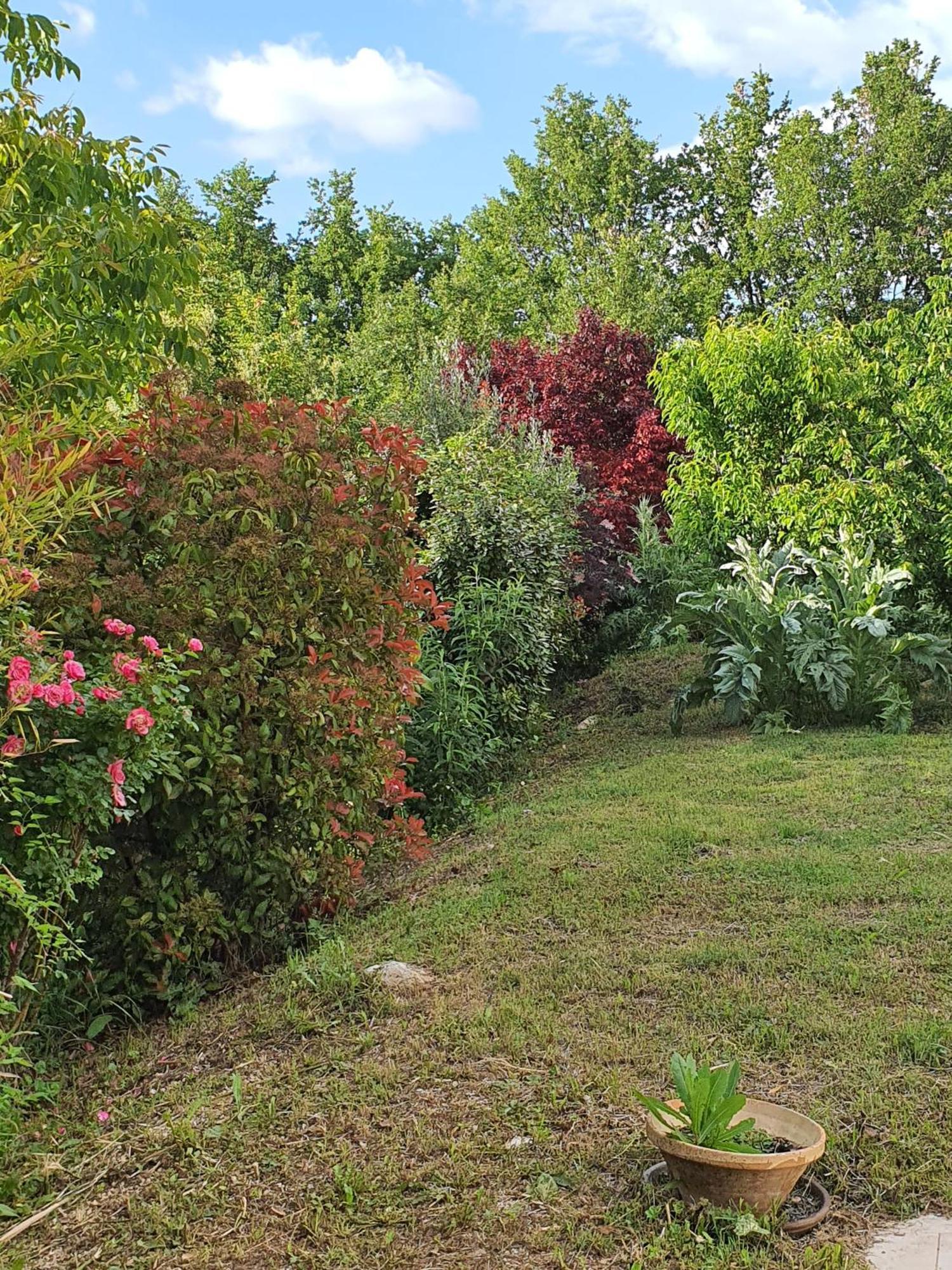 Hanna En Luberon - Le Boisset Saint-Martin-de-Castillon Εξωτερικό φωτογραφία